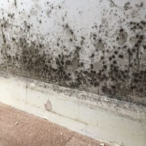 How to Prevent Condensation in Your Home This Autumn and Winter