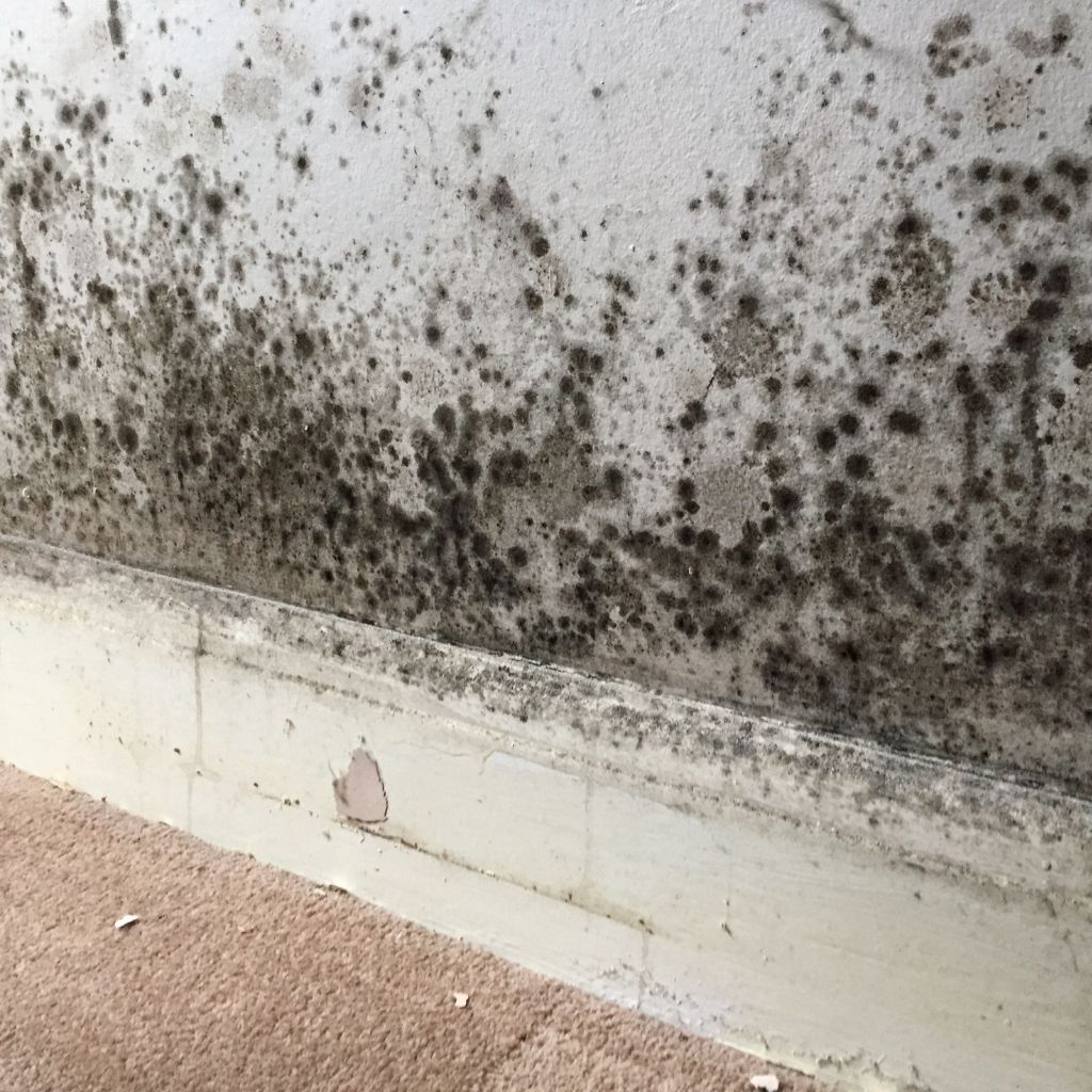 How to Prevent Condensation in Your Home This Autumn and Winter